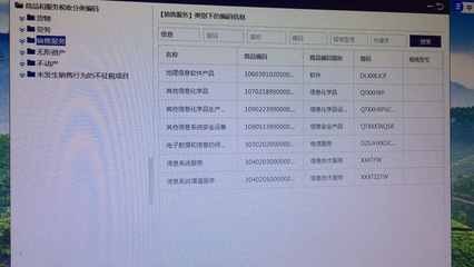 個體工商戶開具發票時，信息技術咨詢服務與信息系統服務的區別