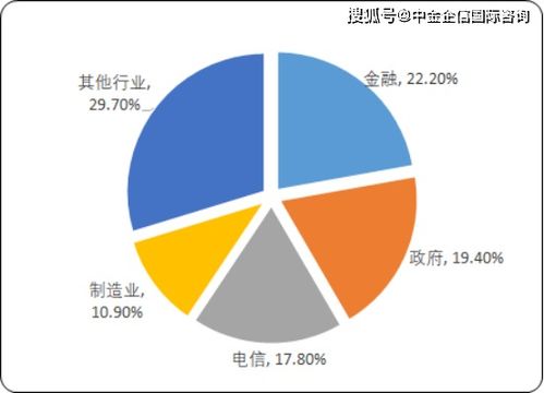 2020年中國(guó)IT服務(wù)市場(chǎng)深度調(diào)研及投資前景預(yù)測(cè) 聚焦信息技術(shù)咨詢服務(wù)